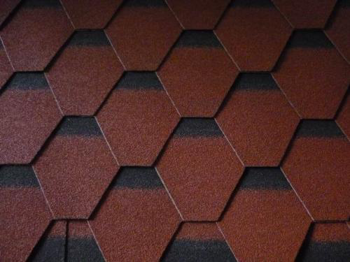 圖片12.png 圖片12.png