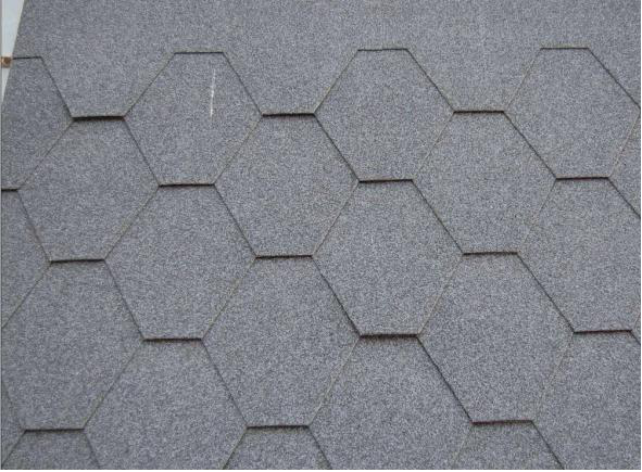 圖片13.png 圖片13.png